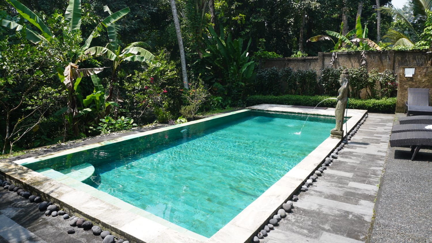 Tropical Guesthouse with Jungle View & Shared Pool